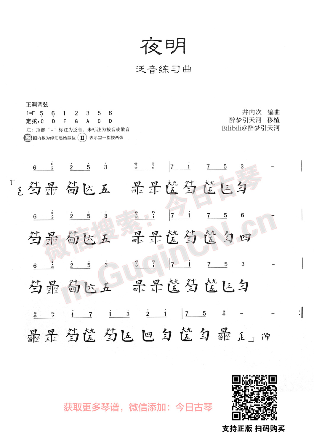 夜明醉梦引天河移植